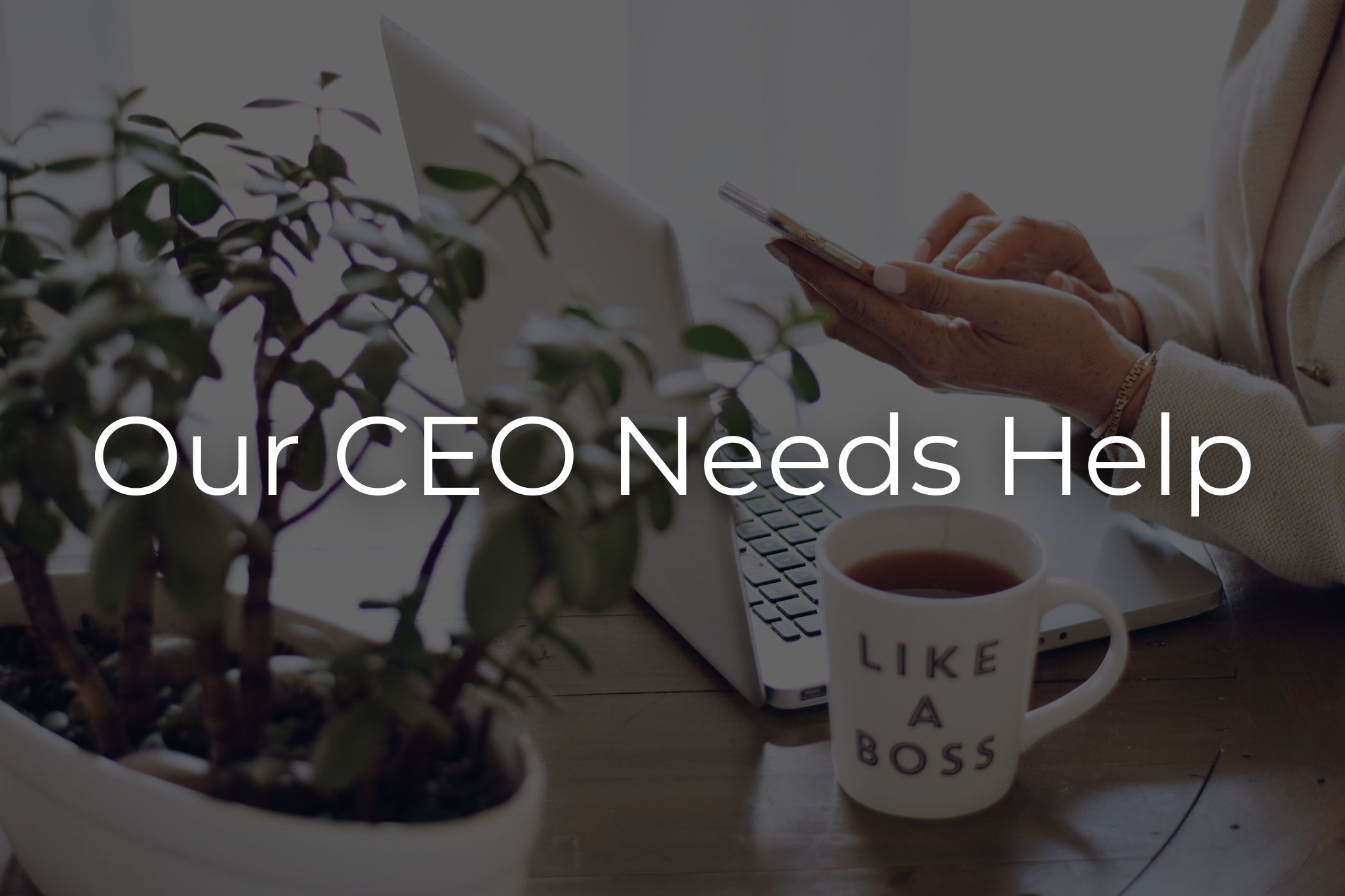 Our CEO Needs Help